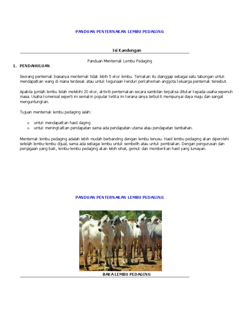 Panduan Penternakan Lembu Pedaging | PDF