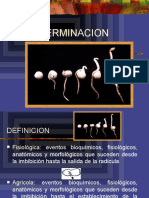 Germinacion Corta 1