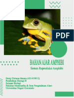 Bahan Ajar Amphibi Deisy Fitriana Maunu