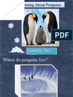 Learning About Penguins Learning About Penguins: Created By: Mrs. Kramer