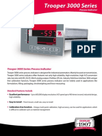 Trooper 3000 Series Process Indicator