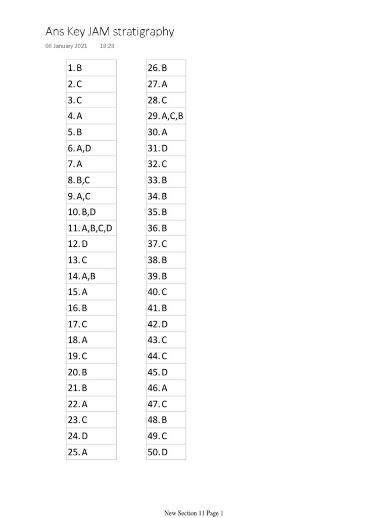 JAM Stratigraphy Answer Key | PDF