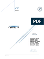 CAERUS-EDGE New Product Development and Branding Project