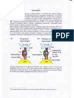 Curs Imuno 12.pdf