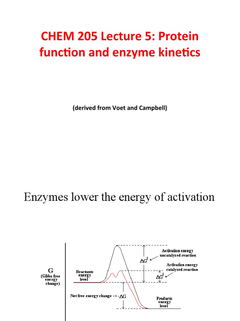 Enzyme Function and Kinetics Overview | PDF | Cofactor (Biochemistry ...
