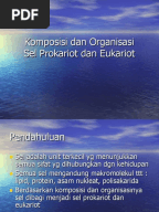 Cell Membrane Coloring Worksheet - KEY