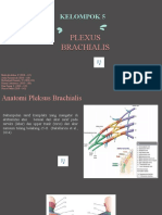 Brachial Plexus-Kelompok 5-FIS C