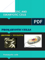 Prokaryotic and Eukaryotic Cells