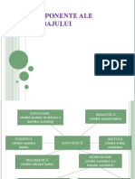Componente Ale Limbajului