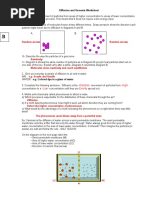 Diffusion and Osmosis Worksheet KEY 08