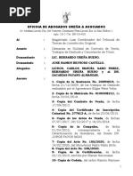 Demanda en Nulidad de Deslinde y de Titulo Bernardo Ureña