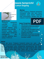 Poster SDHP PDF