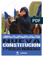 libro nueva constitucion y pueblos indigenas.pdf