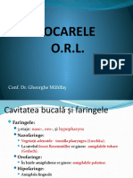 Curs. 7 - Focarele ORL