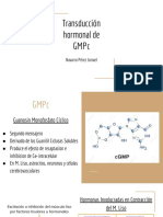 Transducción Hormonal de GMPC