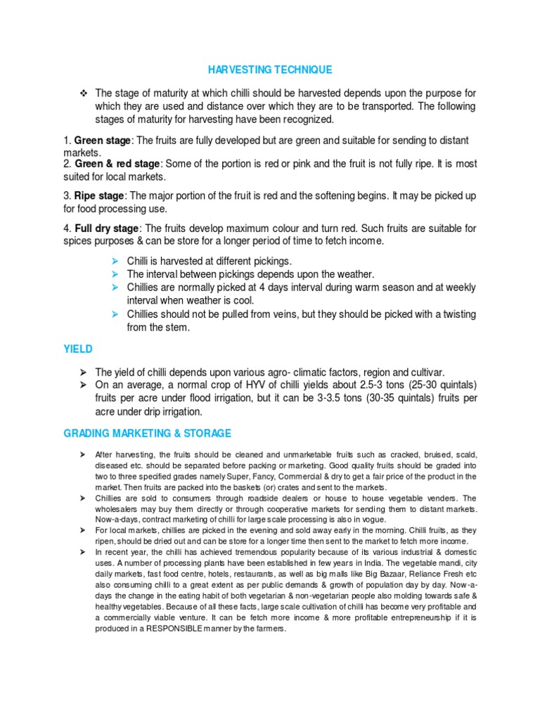 Chilli Harvesting Techniques and Timing | PDF | Chili Pepper | Harvest
