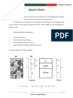 Aula 6 - Índices Físicos PDF
