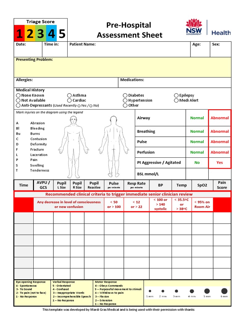 Pre Hospital Assessment Sheet Triage Score Pdf Pain Emergency