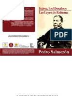 SALMERÓN, Pedro, LEYES DE REFORMA