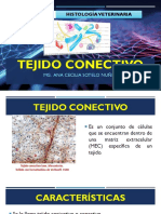 S3-Tejido Conectivo PDF