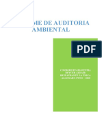 Informe Auditoria de Gestion Ambiental de Restaurante Pedrito