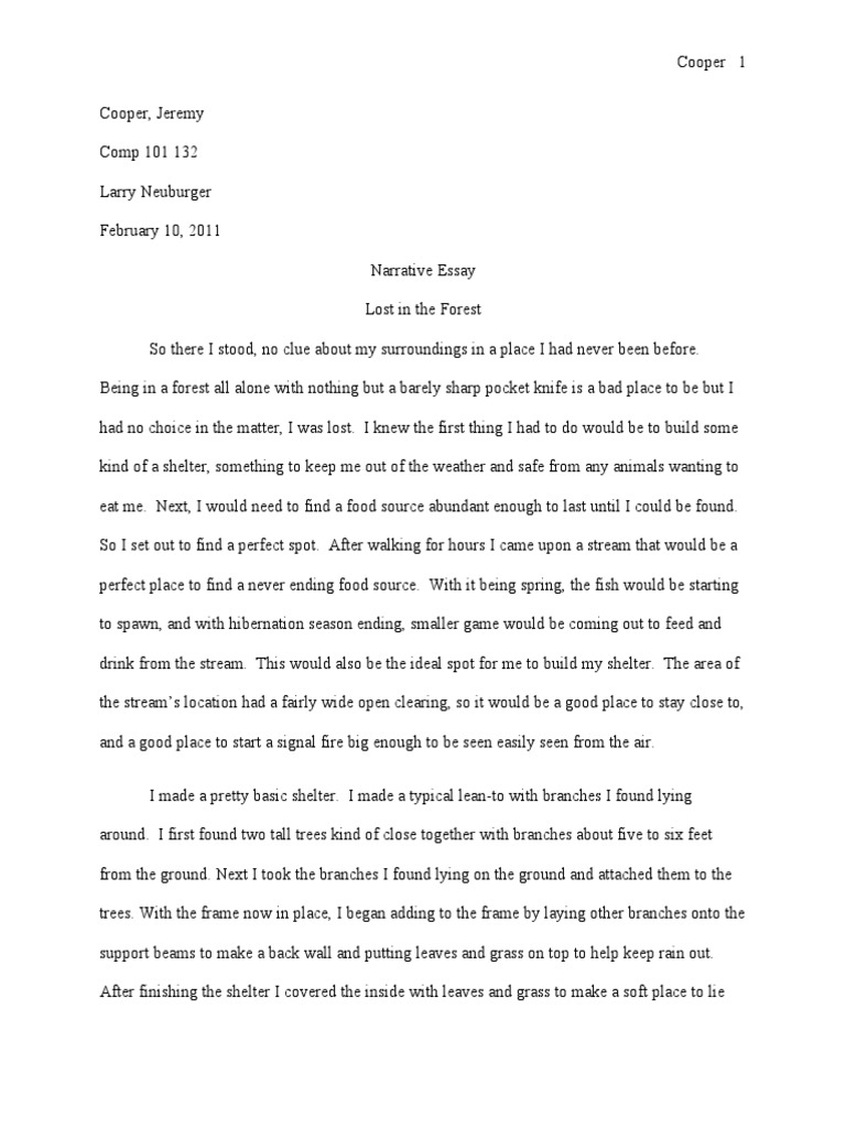 Essay on the day i lost my way back home image