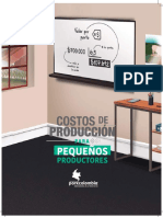 Costos de Producción Cerdos PDF