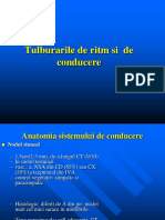 Aritmii PDF