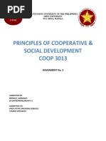 Cooperative CDF Policy Guidelines | PDF | Cooperative | Policy