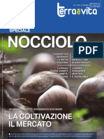 Nocciolo Supplemento A TV 5.2017 PDF