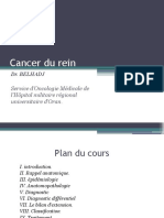 Cancer Du Rein