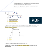 Exam 19 Cardiovascular System