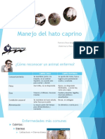 Sr. Patricio Roco I PDF