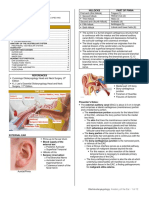 Anatomy of The Ear: Outline