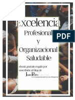 Ebook Excelencia Profesional y Organizacional Saludable