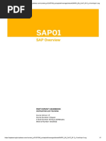 SAP OVERVIEW SAP01