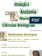 Anatomia Humana: estrutura e terminologia