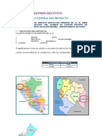 Resumen Ejecutivo (Imp)
