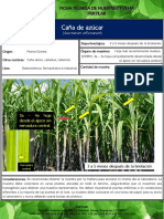 ficha-de-muestreo-de-caña-de-azucar