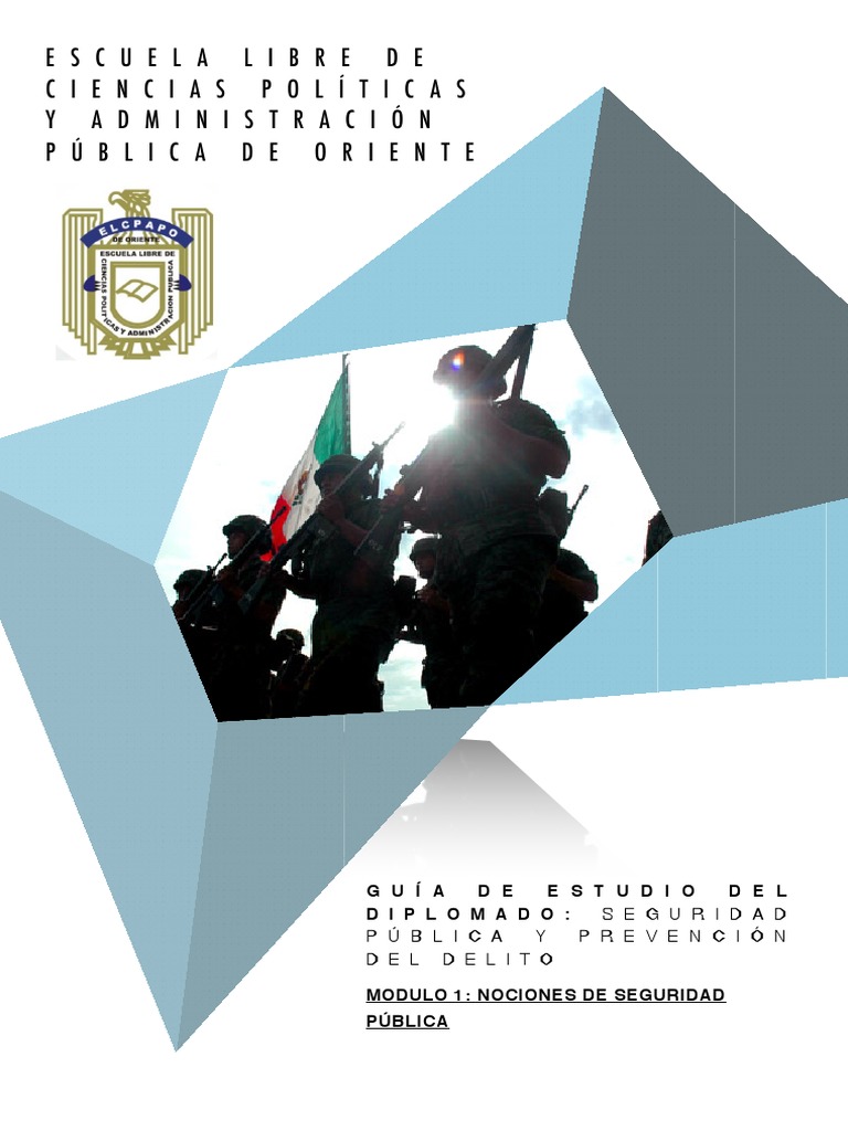 Guía de Estudio: Seguridad Pública y Prevención del Delito | PDF ...