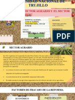 Analisis Del Sector Agrario y El Sector Minero en El Peru