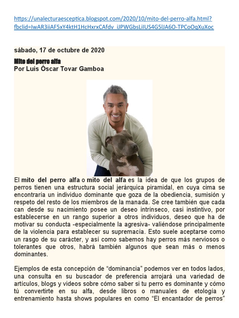 EL PERRO DEL ALFA intelligence overview