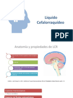 Liquido Cefalorraquídeo