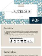 BRUCELOSIS Presentación