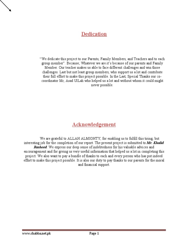 Promoting Punjabi Culture Through Chabba | PDF | Profit (Economics ...