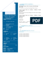 Plantilla CV Institucional