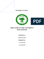 Arid Agriclture University Rawalpindi: Pir Mehr Ali Shah