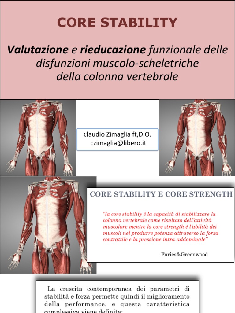 1 - Core Stability | PDF
