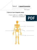 Aparelllocomotor3avaluaci 111027023214 Phpapp01 PDF