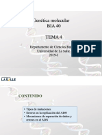 Tema 4. Mutaciones - 2019 - I - Est PDF